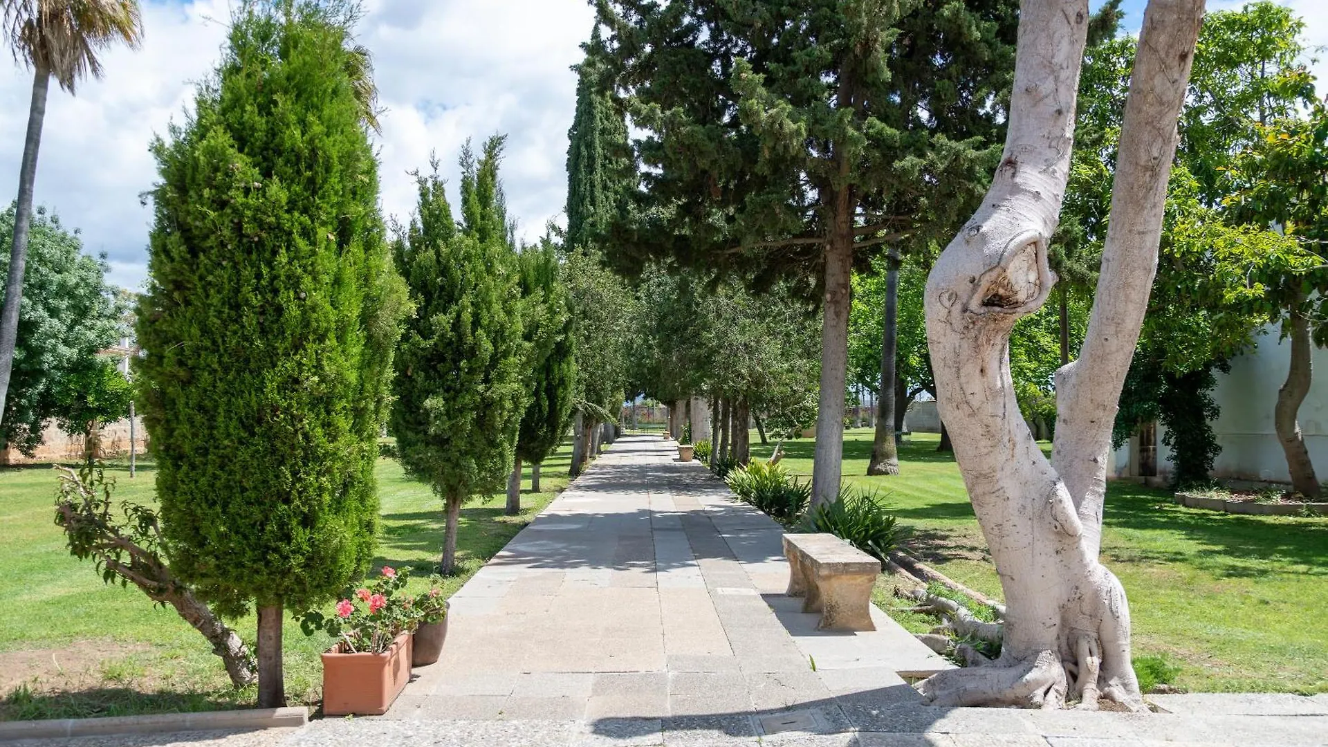 Moli Dels Reis Villa Palma de Mallorca Spain